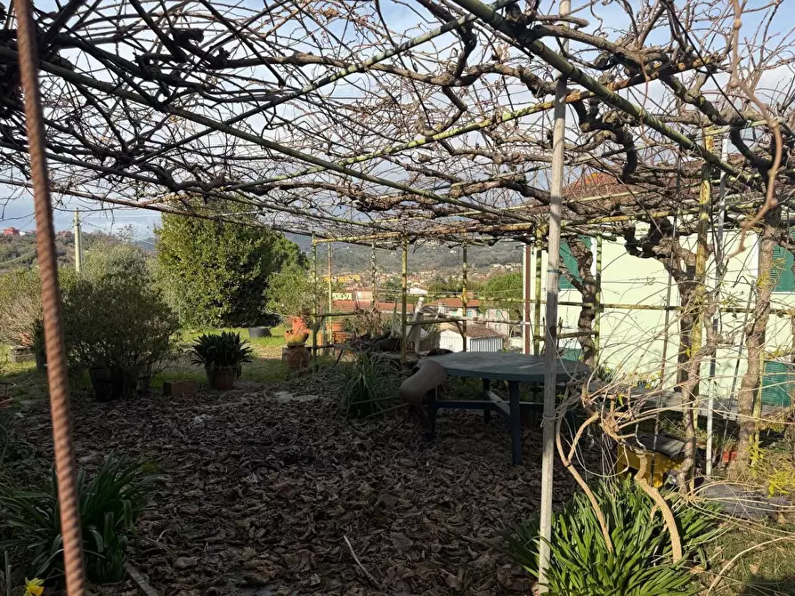 Immagine 6 di Terratetto in vendita  a Sarzana