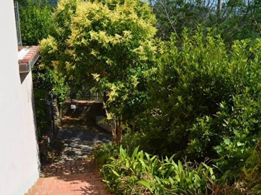 Immagine 36 di Villa in vendita  a Castelnuovo Magra