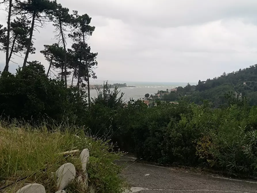 Immagine 46 di Terratetto in vendita  a Ameglia