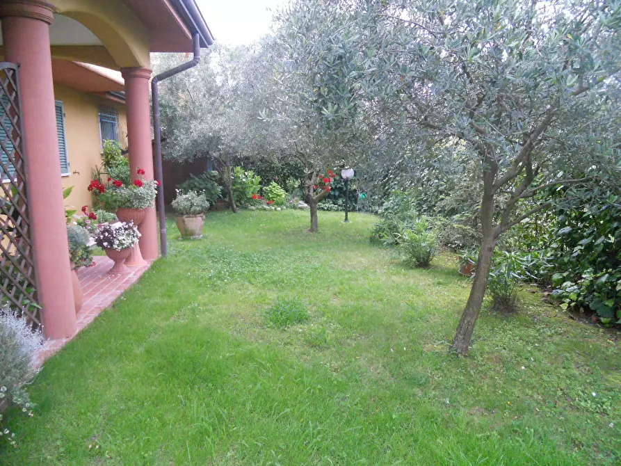 Immagine 9 di Terratetto in vendita  a Ortonovo