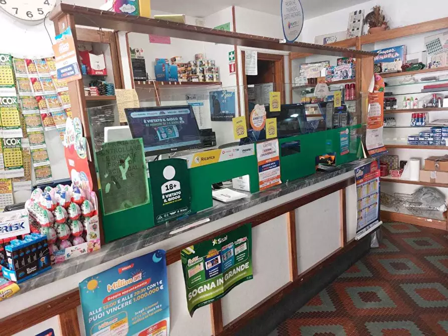 Immagine 9 di Attività commerciale in vendita  a Castelnuovo Magra