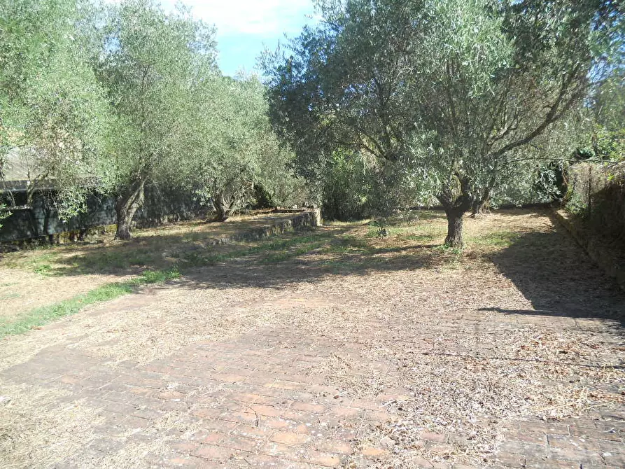 Immagine 83 di Casa colonica in vendita  a Castelnuovo Magra