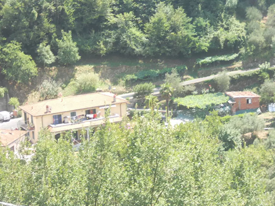 Immagine 8 di Terratetto in vendita  a Ortonovo