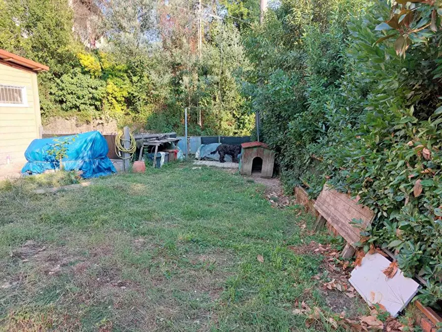 Immagine 14 di Terratetto in vendita  a Castelnuovo Magra