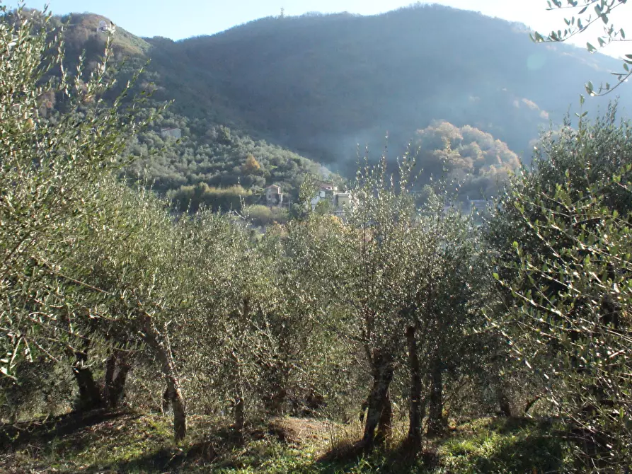 Immagine 34 di Terratetto in vendita  a Ortonovo