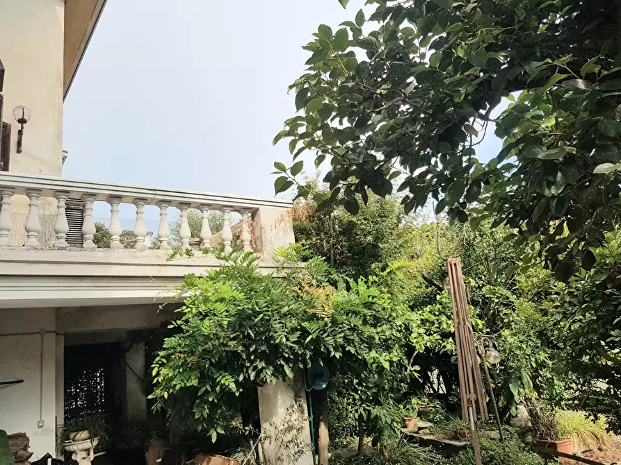 Immagine 25 di Villa in vendita  a Carrara