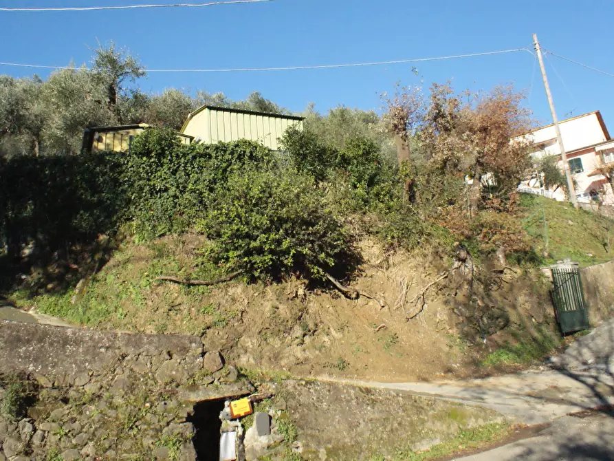 Immagine 18 di Terratetto in vendita  a Ortonovo