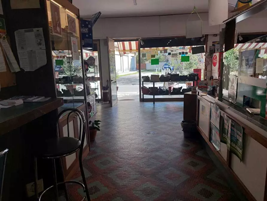Immagine 3 di Attività commerciale in vendita  a Castelnuovo Magra
