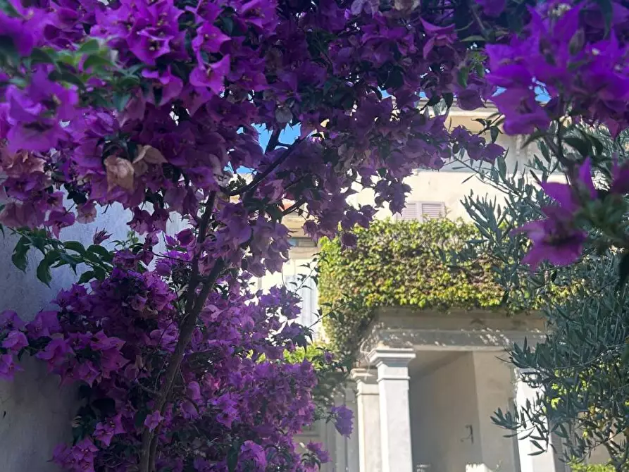 Immagine 53 di Casa indipendente in vendita  a Carrara