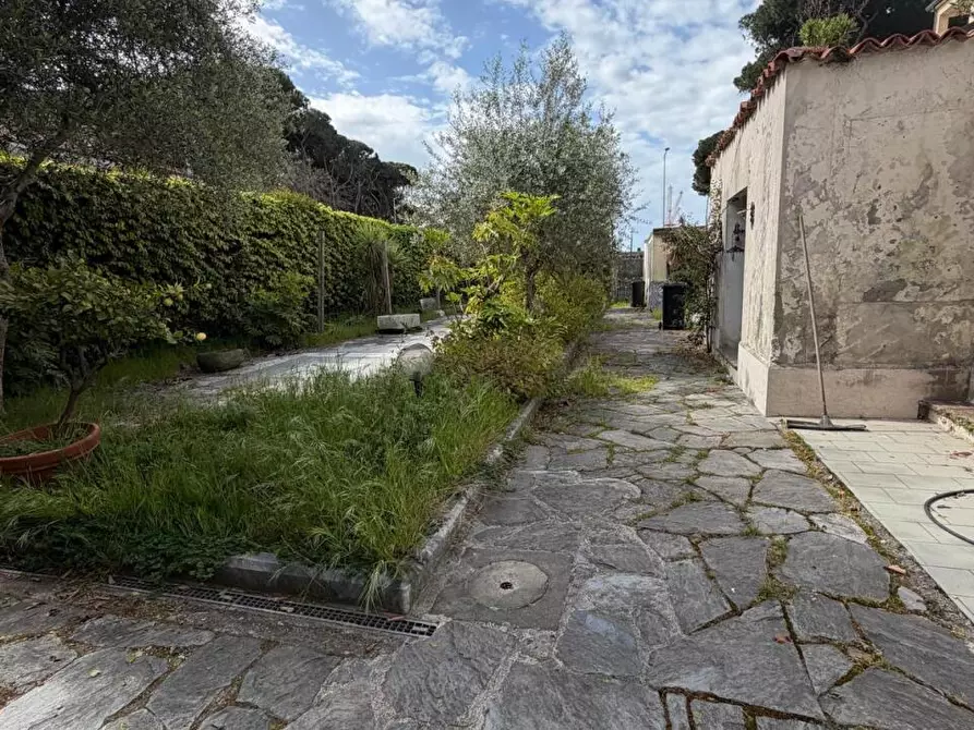 Immagine 9 di Casa indipendente in vendita  a Carrara