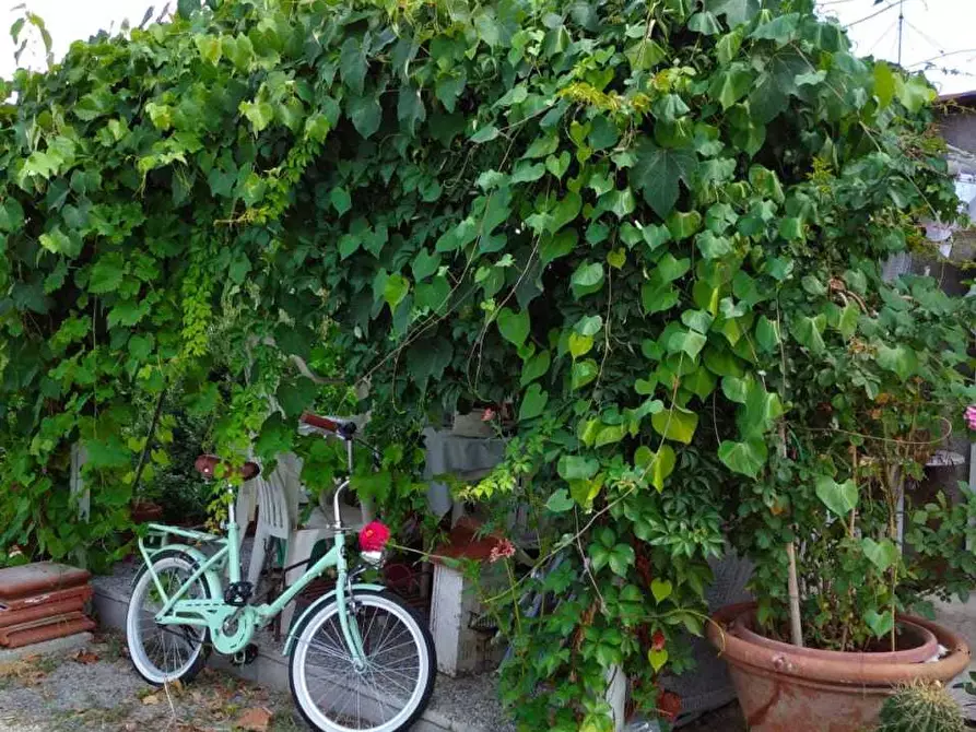 Immagine 30 di Terratetto in vendita  a Sarzana