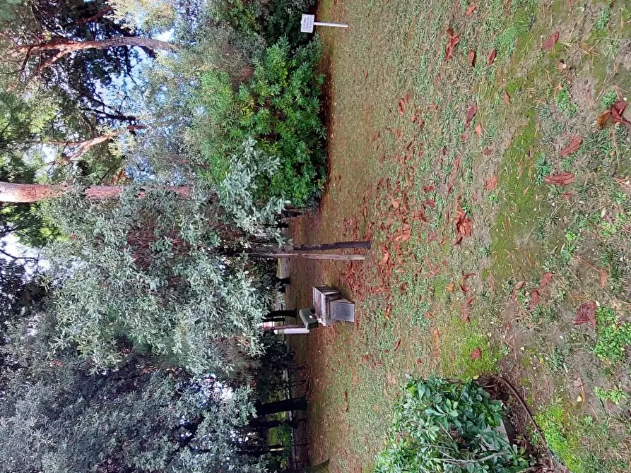 Immagine 39 di Terratetto in vendita  a Massa