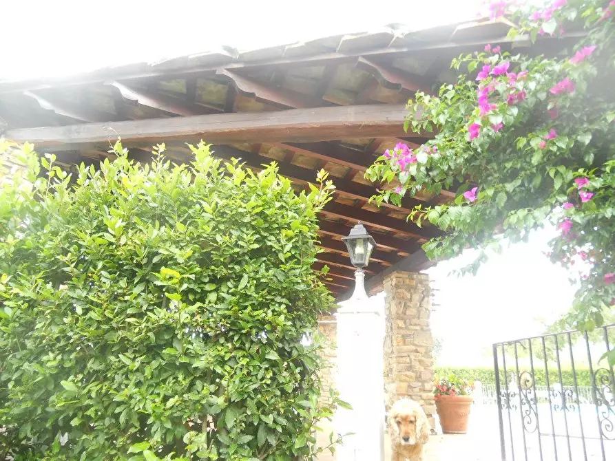 Immagine 16 di Villa in vendita  a Castelnuovo Magra