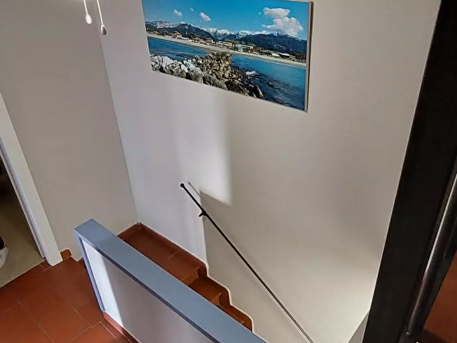 Immagine 28 di Terratetto in vendita  a Massa
