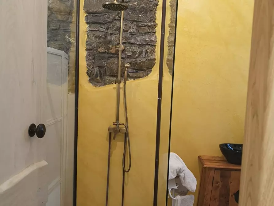 Immagine 31 di Casa colonica in vendita  a Castelnuovo Magra