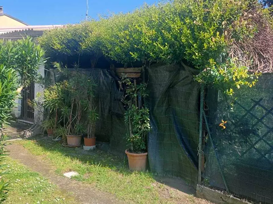 Immagine 5 di Terratetto in vendita  a Carrara