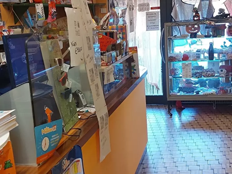 Immagine 4 di Appartamento in vendita  a Castelnuovo Magra