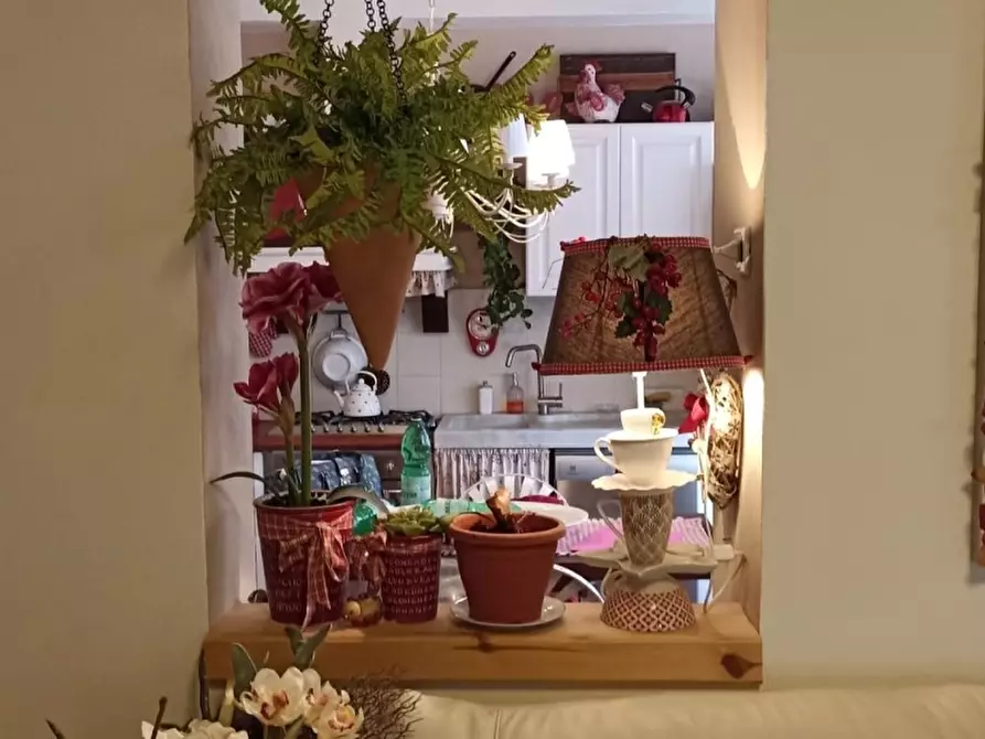 Immagine 5 di Appartamento in vendita  a Carrara