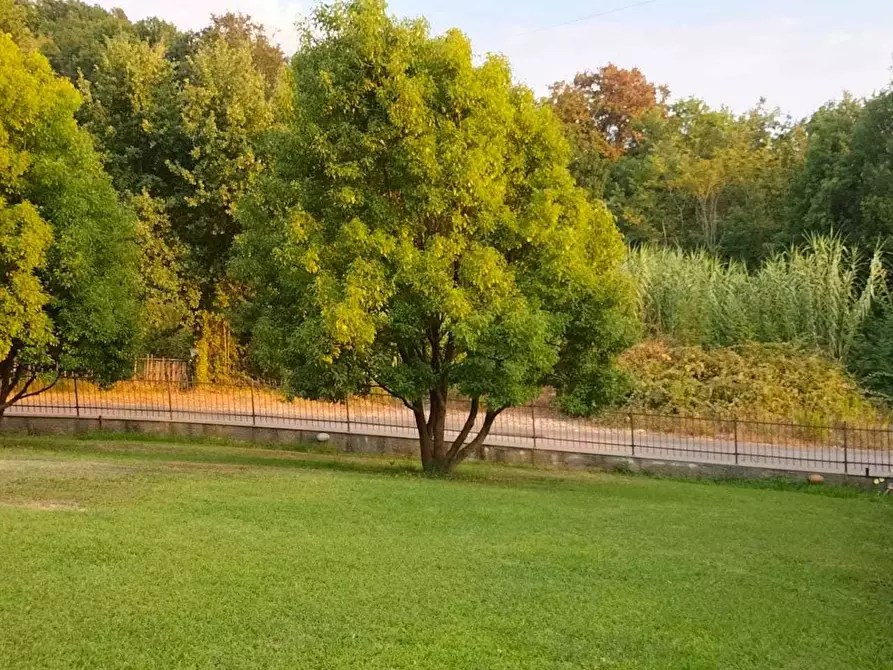 Immagine 48 di Terratetto in vendita  a Castelnuovo Magra