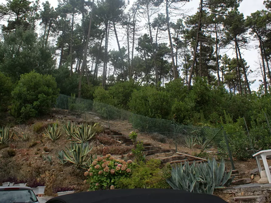 Immagine 45 di Terratetto in vendita  a Ameglia