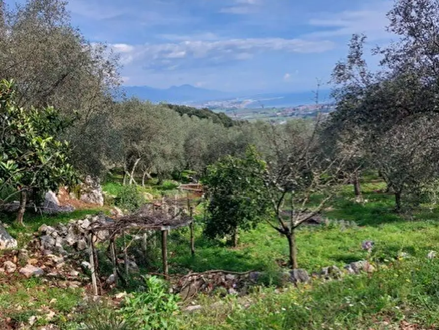 Immagine 10 di Rustico / casale in vendita  a Ameglia