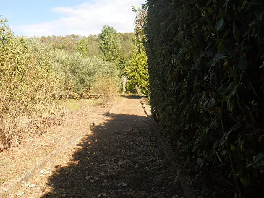 Immagine 78 di Casa colonica in vendita  a Castelnuovo Magra