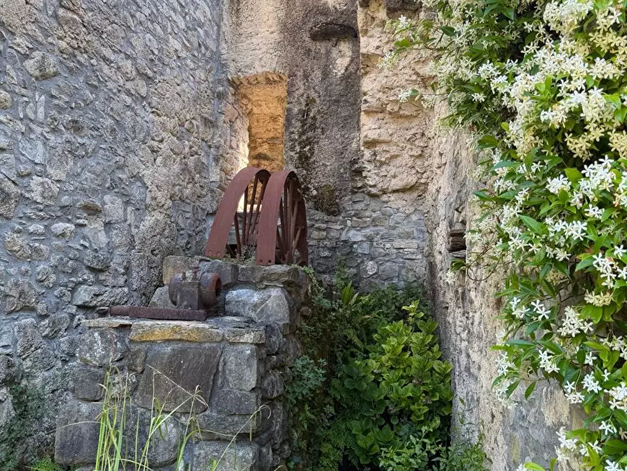 Immagine 71 di Casa colonica in vendita  a Castelnuovo Magra