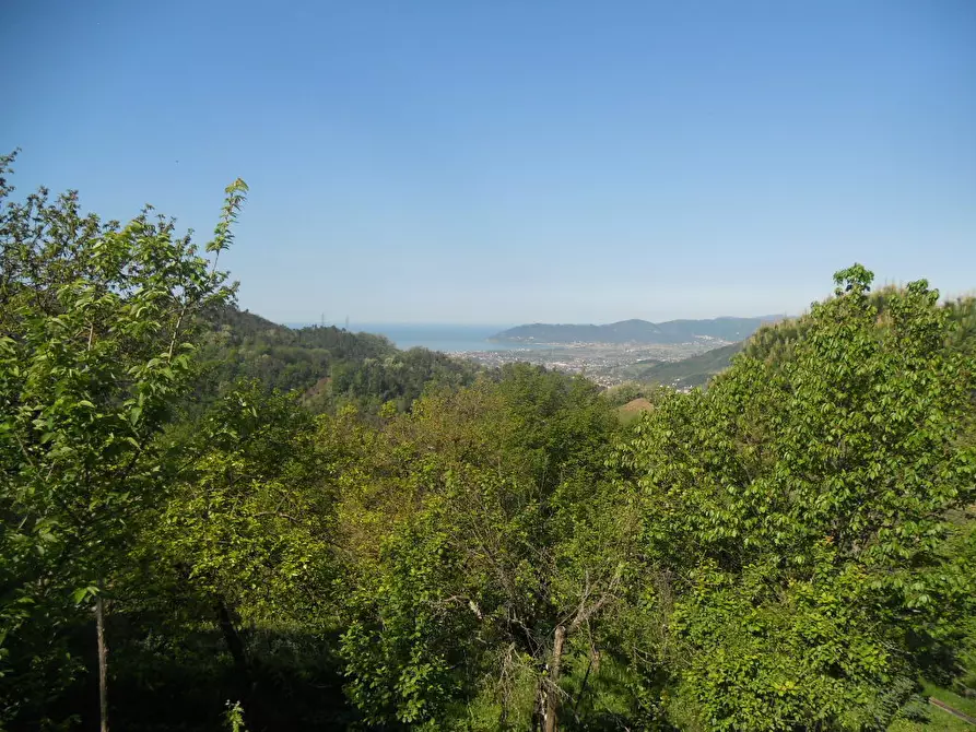 Immagine 3 di Terratetto in vendita  a Castelnuovo Magra