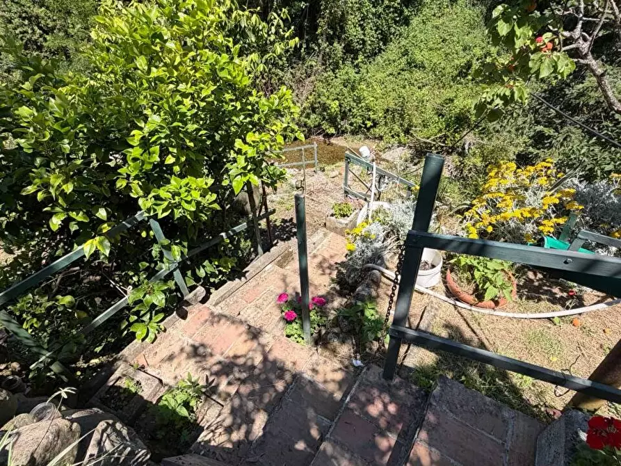 Immagine 33 di Terratetto in vendita  a Ortonovo