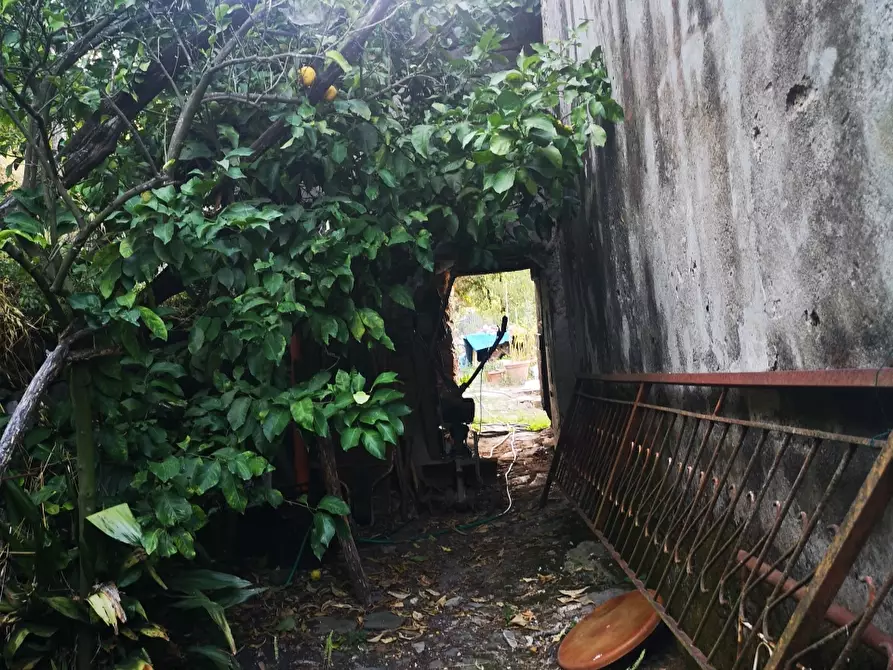 Immagine 10 di Rustico / casale in vendita  a Ortonovo