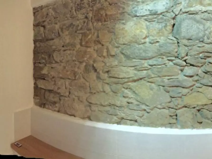 Immagine 20 di Attività commerciale in vendita  a Castelnuovo Magra