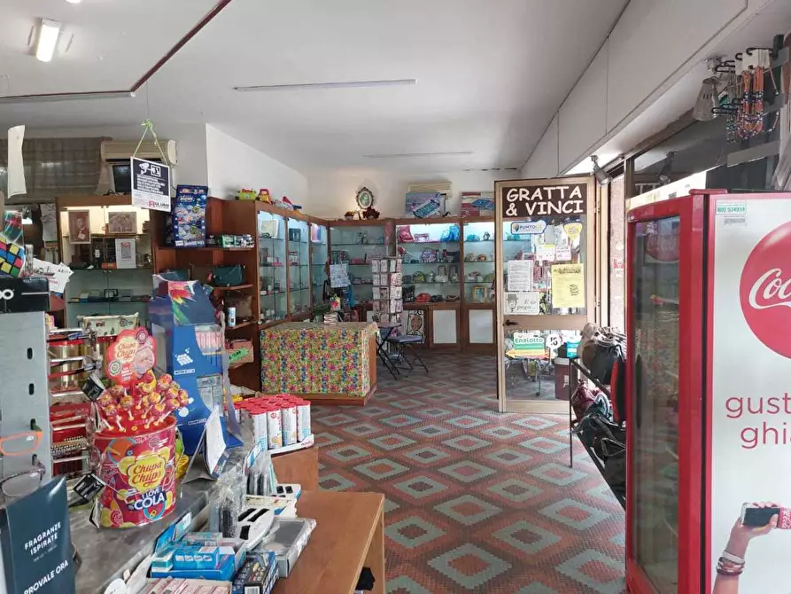 Immagine 7 di Attività commerciale in vendita  a Castelnuovo Magra