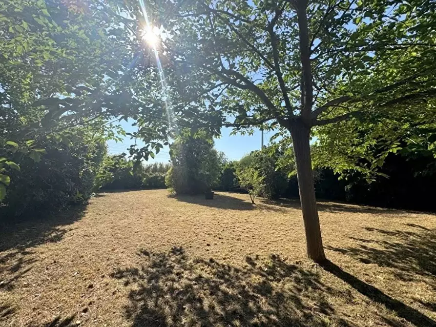 Immagine 40 di Villa in vendita  a Viareggio