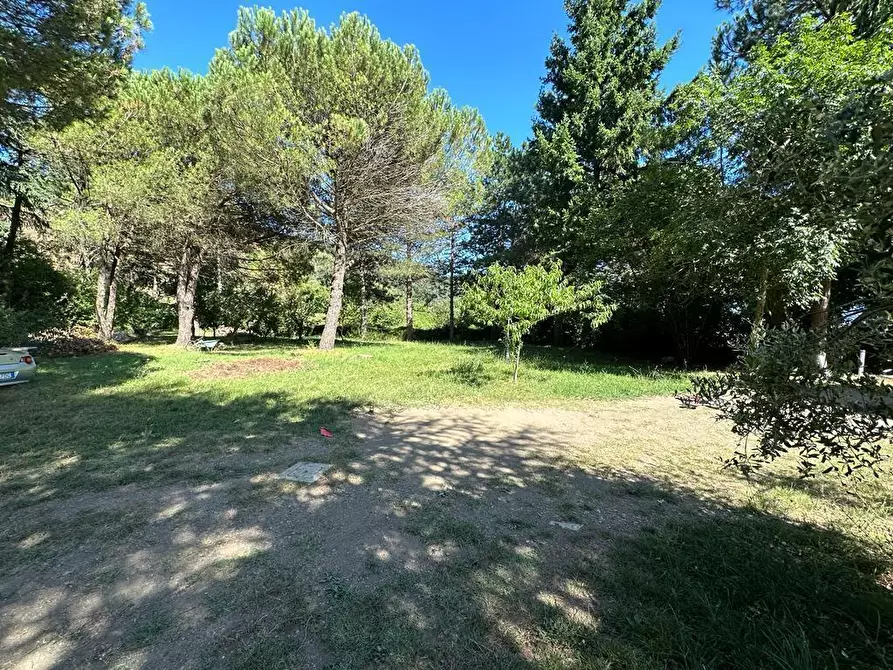 Immagine 34 di Casa indipendente in vendita  a Fosdinovo