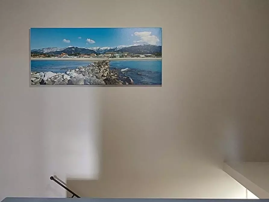 Immagine 22 di Terratetto in vendita  a Massa