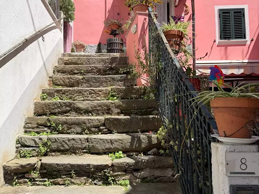 Immagine 34 di Terratetto in vendita  a Ortonovo