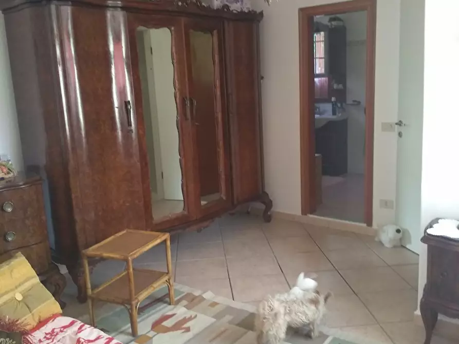 Immagine 23 di Terratetto in vendita  a Castelnuovo Magra