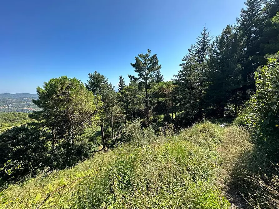 Immagine 26 di Casa indipendente in vendita  a Fosdinovo