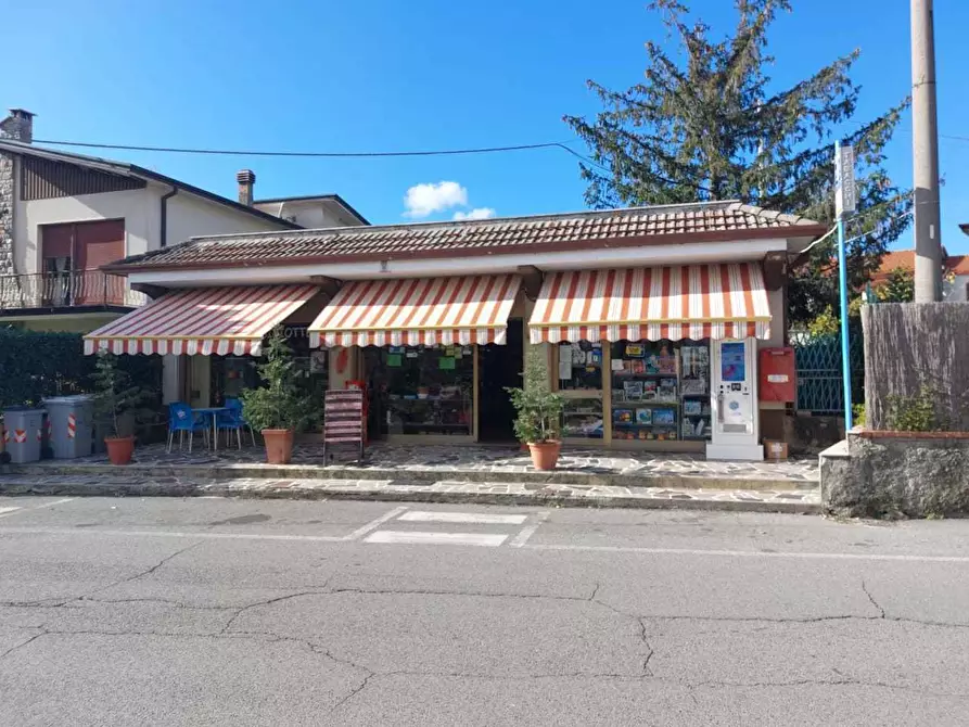 Immagine 4 di Attività commerciale in vendita  a Castelnuovo Magra