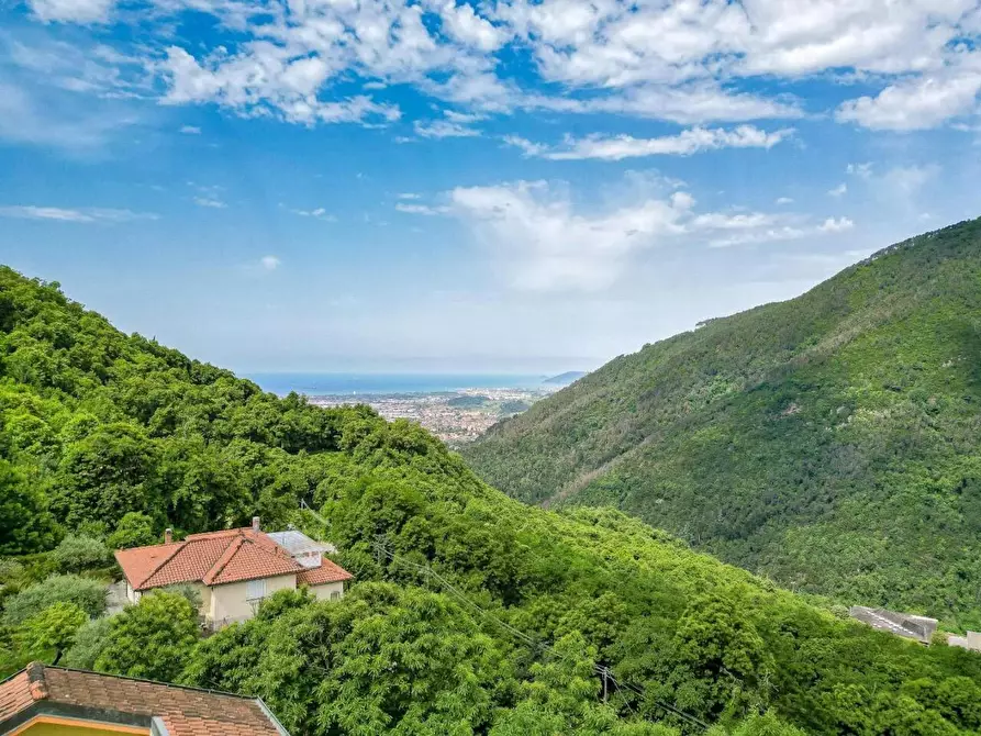 Immagine 26 di Villa in vendita  a Massa