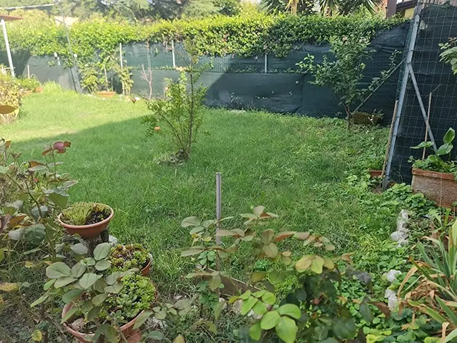 Immagine 26 di Terratetto in vendita  a Carrara