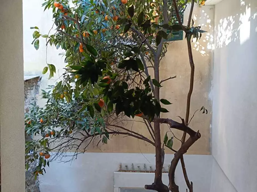 Immagine 16 di Casa indipendente in vendita  a Sarzana