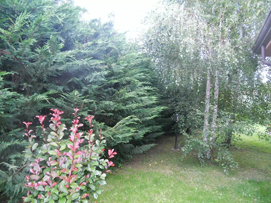 Immagine 10 di Terratetto in vendita  a Ortonovo