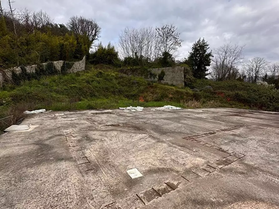 Immagine 2 di Villa in vendita  a Sarzana