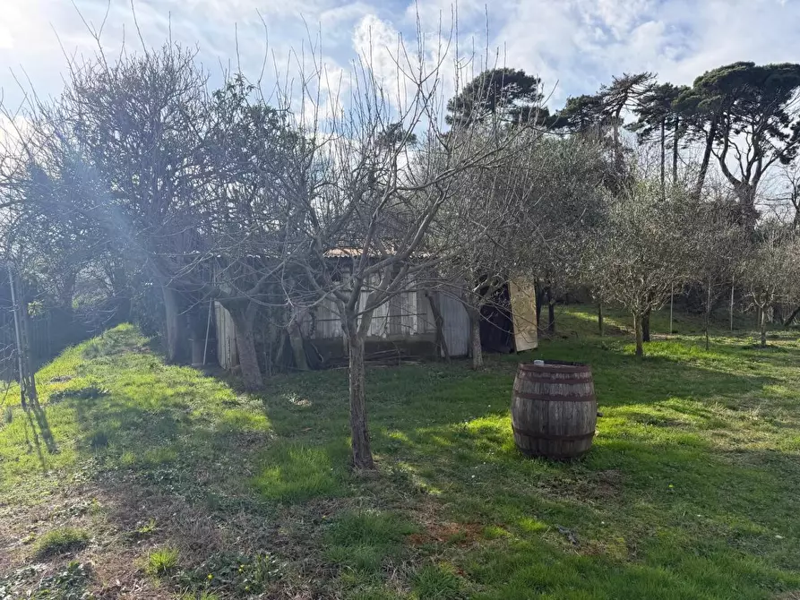 Immagine 19 di Terratetto in vendita  a Sarzana