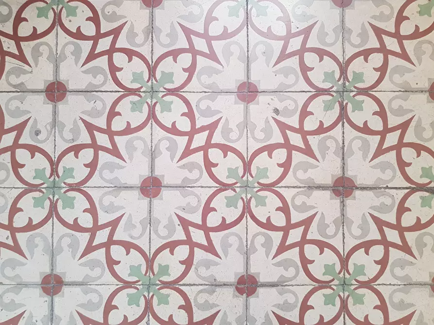 Immagine 50 di Villa in vendita  a Carrara