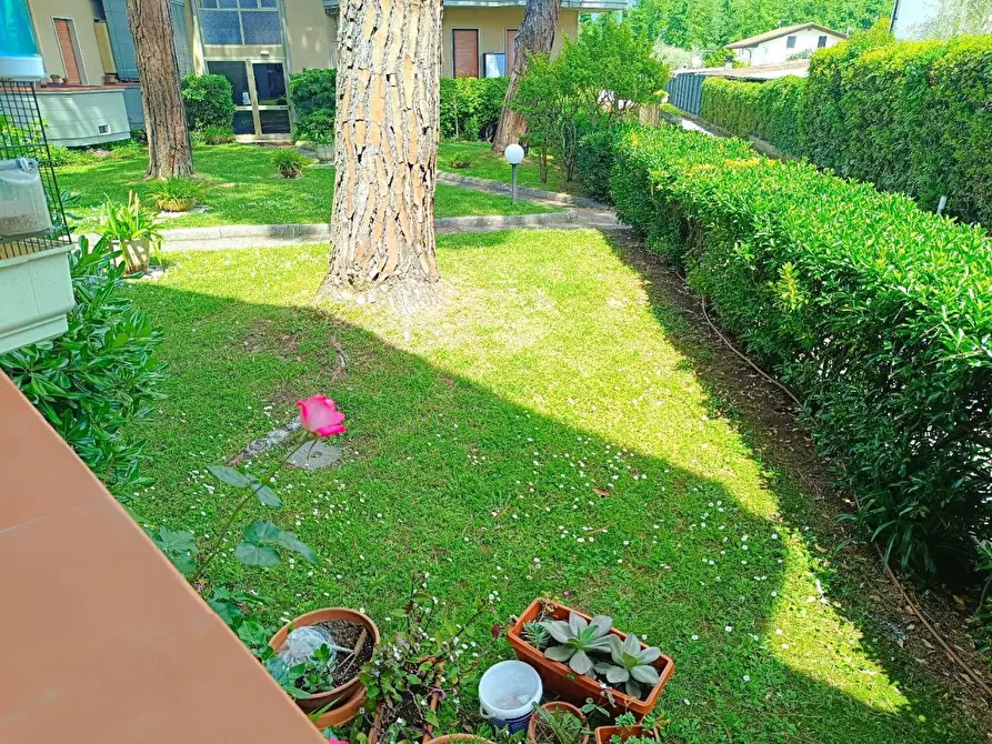 Immagine 2 di Appartamento in vendita  a Massa