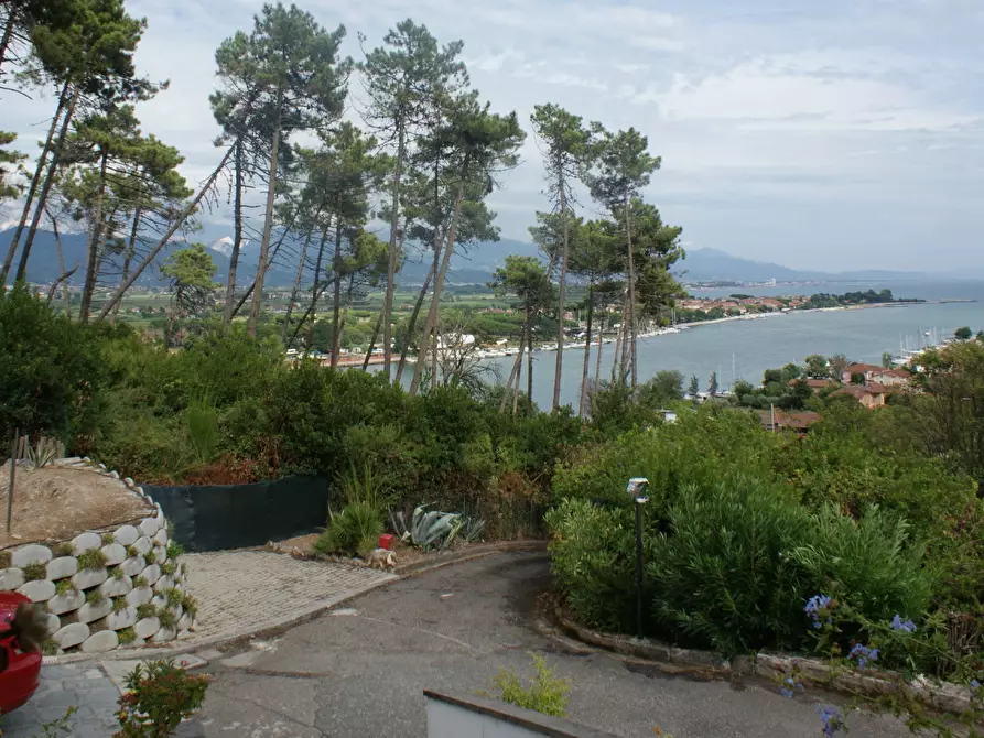 Immagine 26 di Terratetto in vendita  a Ameglia