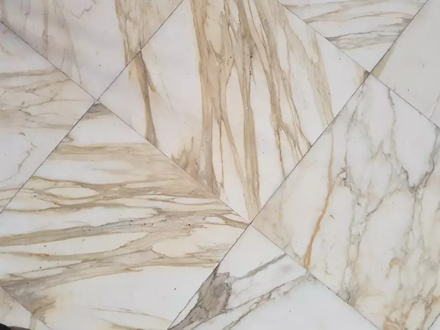 Immagine 55 di Villa in vendita  a Carrara