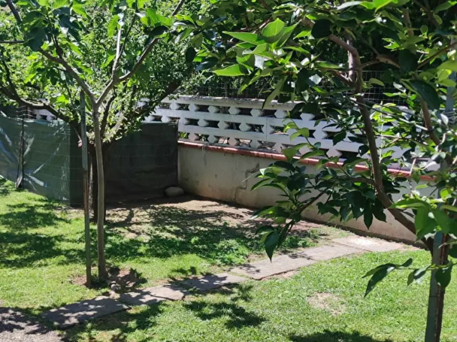 Immagine 12 di Terratetto in vendita  a Ortonovo